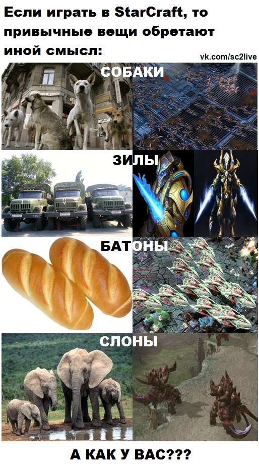 Привычные вещи обретают другой смысл